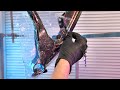 Do this if you cant paint crystal fx  bike paint diy