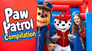 paw patrol movie compilation assistant s favorite chase