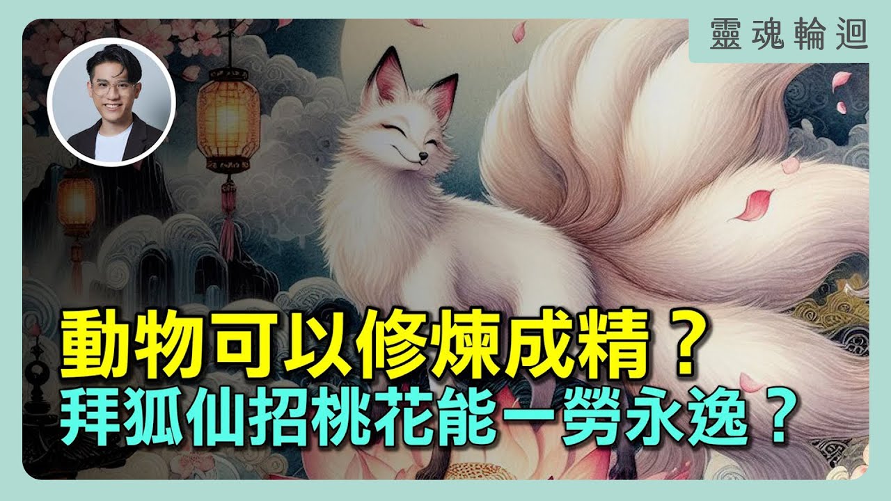 動物可以修煉成精？拜狐仙招桃花能一勞永逸嗎？｜靈魂輪迴系列