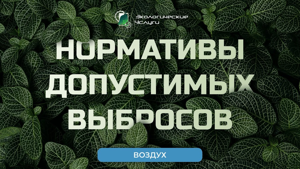Ндв нормативы допустимого выброса