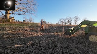 KuneKune Freedom