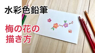 梅の花の描き方・水彩色鉛筆