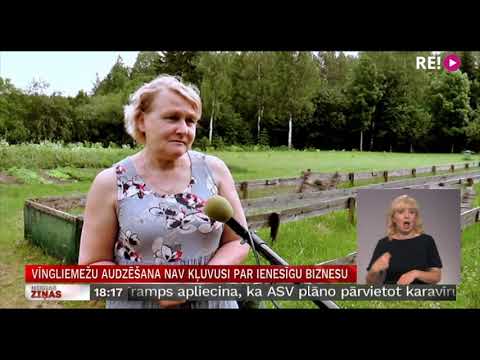 Video: Padariet arkls aizbraucamam traktoram