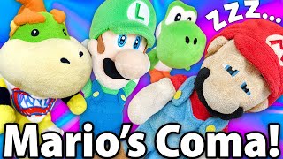 Crazy Mario Bros: Mario's Coma!