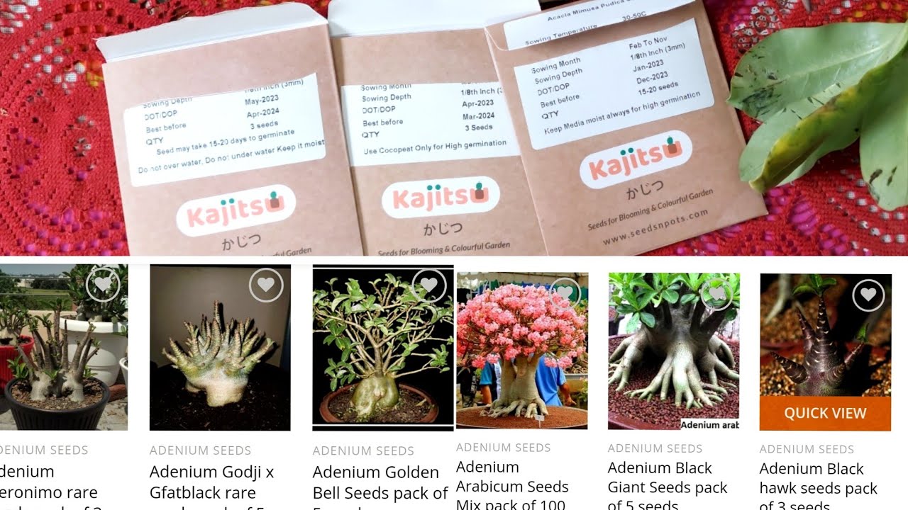 Adenium Seeds Online || Adenium Plant Online || Plants Bulbs || Online Gardening Shopping