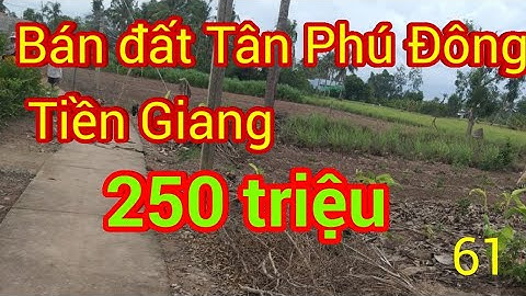 Bán đất xã Tận Phú Đông tỉnh Tiền Giang