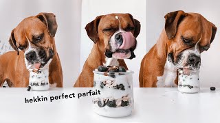 Dog-Friendly Puppy Parfait Recipe 🫐🍨 | Dog ASMR 🐶 by Roxie Boxie 512 views 2 years ago 5 minutes, 24 seconds