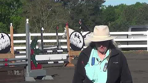 Heidi Crowell & Little Cat's Hat Holly Hill Horse ...