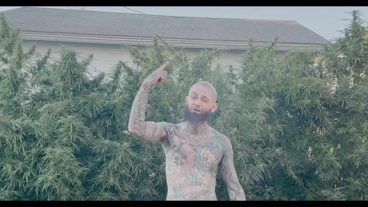 Really High Video ( Dark Cappa Part Only)