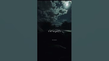 من سوره الغاشيه تلاوه خاشعه للقارئ عبد الرحمن مسعد