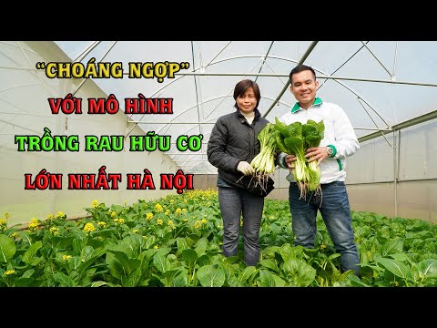 Video: Huyền Thoại Làm Vườn Hữu Cơ