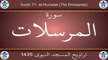 تراويح المسجد النبوي 1435 - سورة المرسلات