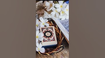 #القرآن_الكريم #قرآن_مريح #الرقية_الشرعية #راحة_نفسية #خشوع #تلاوة_مؤثرة