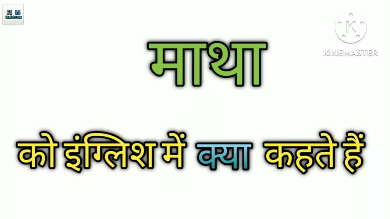 matha ko English mein kya kahate Hain/matha meaning in English/