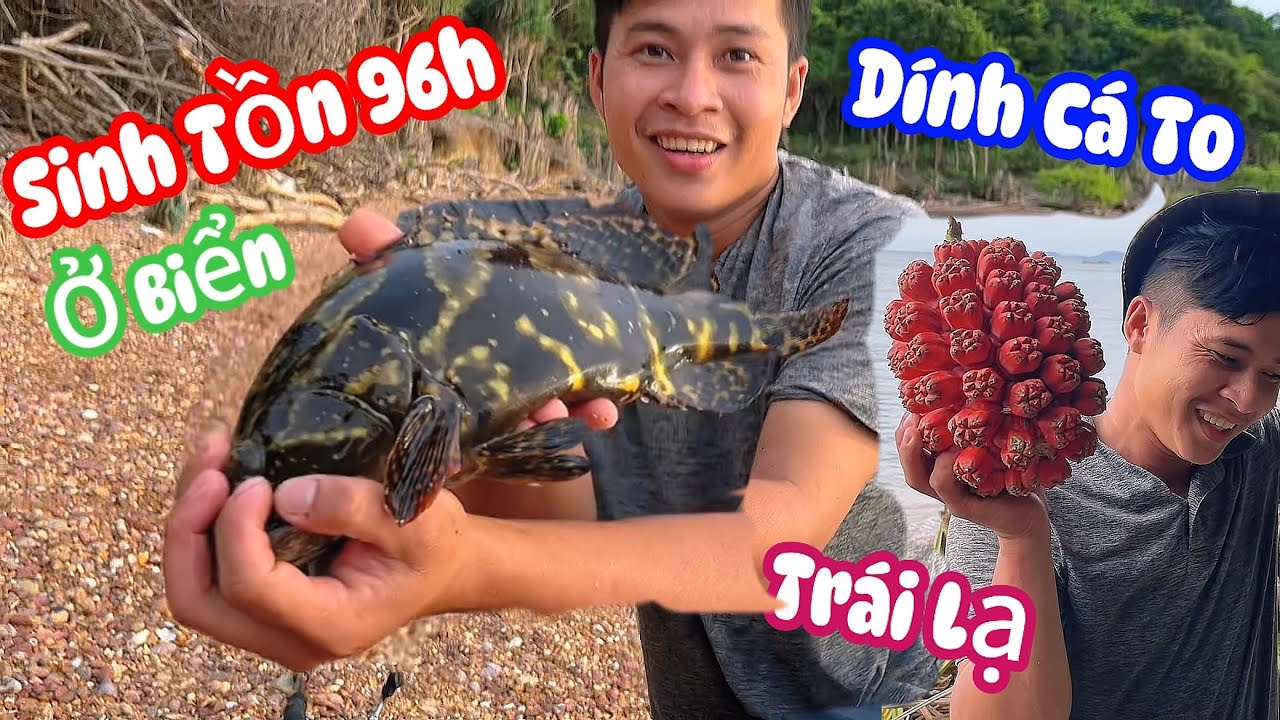 Ngày 4- Sinh Tồn 96h Ở Biển Ngày Cuối Ku Đen Câu Được Cá Lớn & Hái Trái Lạ Cực Đẹp |KDD survival #kd