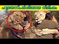 5 HEARTWARMING ANIMAL REUNION CAUGHT ON CAMERA|ഹൃദയ സ്പർശിയായ കാഴ്ച|90skid| MALAYALI CAFE