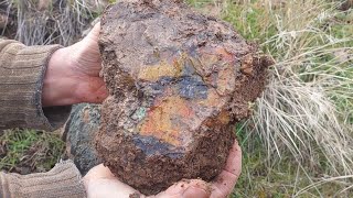 Giant Oolitic Agate, Huge Multicolored Jasper and Petrified Driftwood: Rockhounding Central Oregon