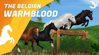 The Belgian Warmblood | Star Stable Horses