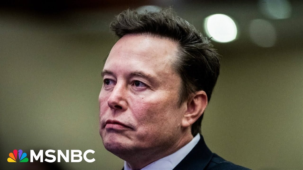 Obvious novice': Analyst says Musk isn't 'serious' about DOGE but shouldn't be laughed off - YouTube