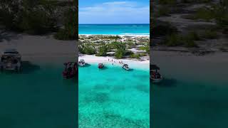 Quick stop at iguana island! 🦎🏝️😎 #waketowaketc #turksandcaicos #paradise #explore #drone