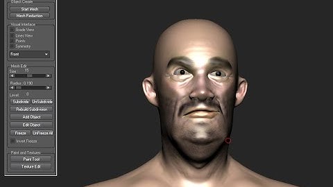 Fast painting with MeshMolder Beta