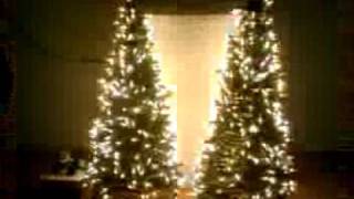 Mini Trees test 2