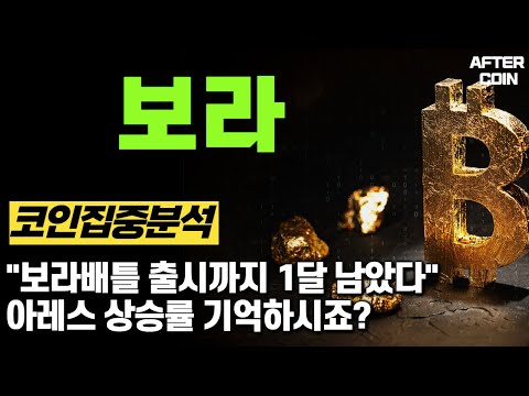   보라코인 전망 보라배틀 출시까지 1달 남았다 아레스 상승률 기억하시죠 보라코인전망 보라코인호재 보라코인시세 보라코인분석