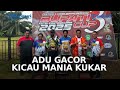 Bupati Cup I 2025: Ribuan Kicau Mania Padati Kraksaan!