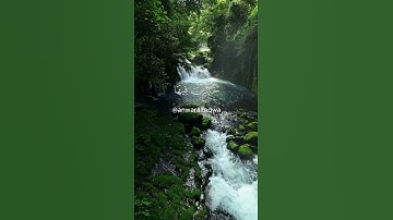 اكتب شئ تؤجر عليه #المنشاوي #محمد_صديق_المنشاوي #تلاوة_مميزة #تلاوات #قرآن #تلاوة_خاشعة