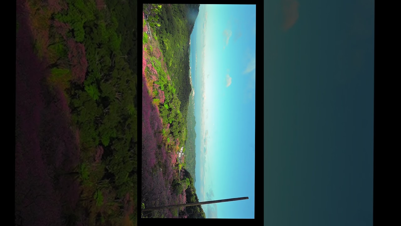 Cherry Blossom Festival at Yaedake Sakuranomori A Cultural Journey