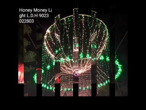 Lights decoration BY HONEYMONEY LIGHTS (Ludhiana Punjab)