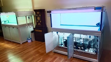 Tor ต่อประชาอุทิศ 54 - งานระบบ Overflow All Services ตู้ปลา 60 30 24 กรองล่างใบที่ 2 ที่บ้านพี่ต่อ