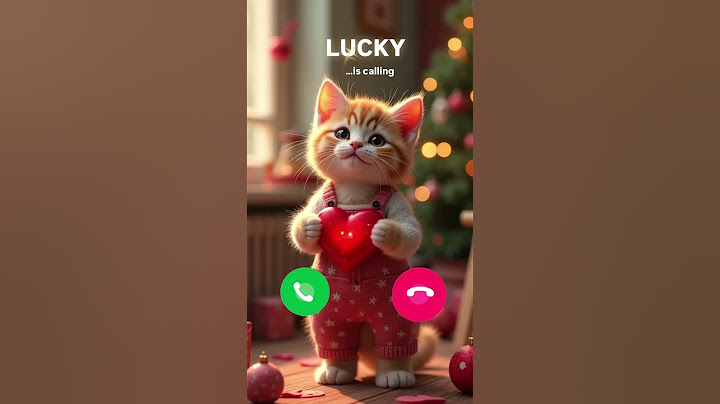 LUCKY CAT CALLING😘 #ringtone #cat #funny #shortvideo #catlover #youtubeshorts #funnycats #shorts