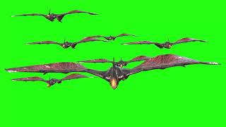 Pterodactyl Group Fly Glide | Green Screen 3D Animation Video
