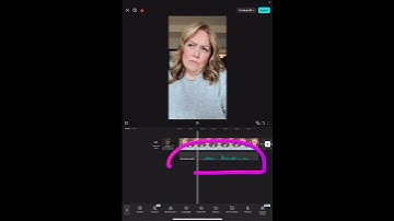 How to Change Your Voice Using CapCut