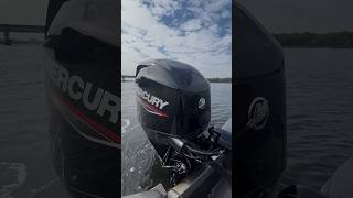 Motor Mercury 50 hp 4 tempos Mid Tiller. @mercurymarinebrasil