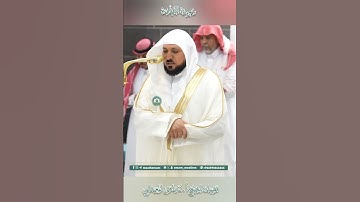 تلاوة خاشعة 🕊 سورة القيامة 🌿  الشيخ أ.د ماهر بن حمد المعيقلي