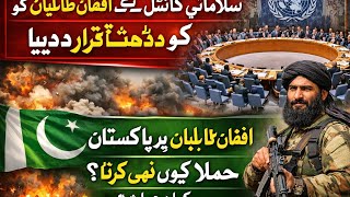 UN Security Council Ne Afghan Taliban Ko Dehshatgard Qarar De Diya | Pakistan Hamla Kyun Nahi Karta?