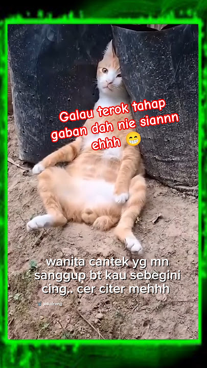 galau sgt ni kamu ehh.. sabar lah yer sabariah.. zakiah kan ade 😅 amboooi byk btl pilihan