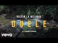 Duele by Dalvin La Melodia