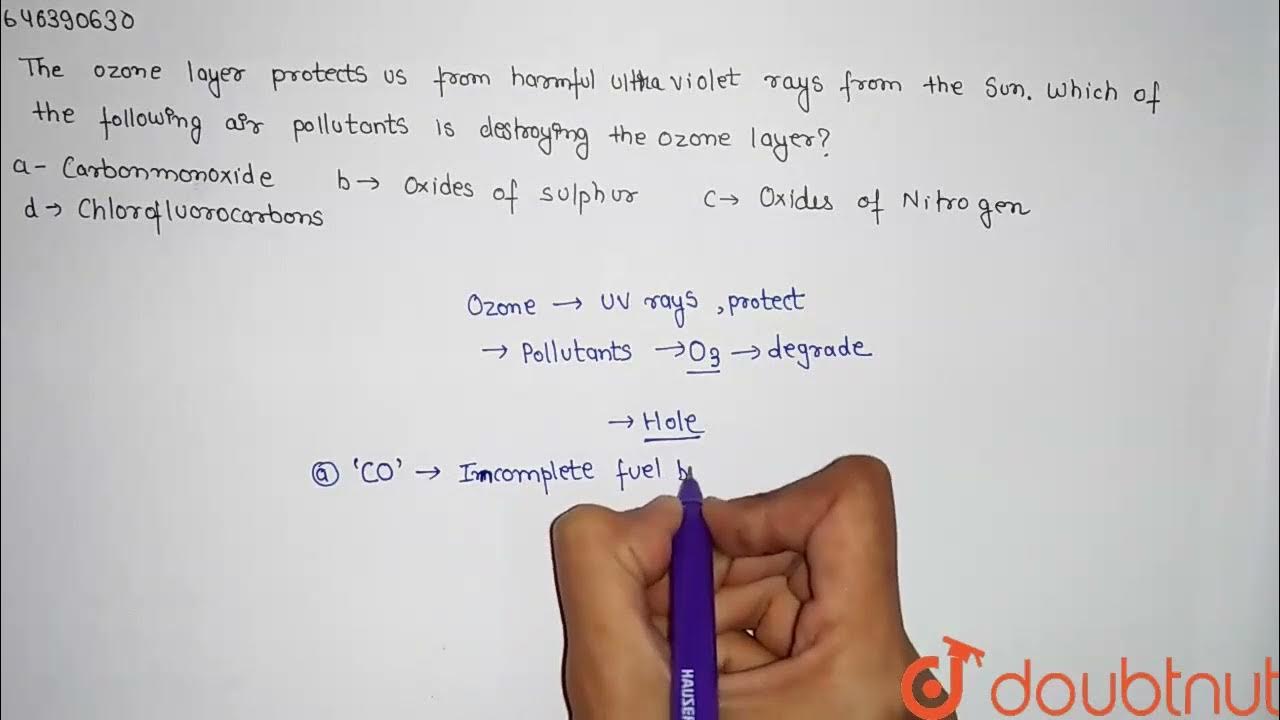The ozone layer protects us from the harmful ultraviolet rays from the Sun. Which of the followi