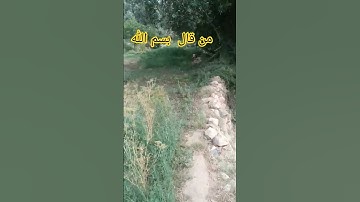 بسم الله #بدر_المشاري #اذكار #اكسبلور #صبرو #لايك #اقنباسات #دويتو #ترند #تيك_توك #في