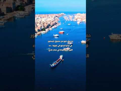 دي الدقهلية