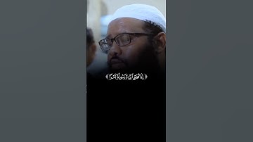 تلاوة آيات من القرآن الكريم بصوت جميل و خاشع