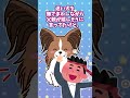 【2chほっこり】酔った父親が途中で迷い犬保護して帰ってきた。 #Shorts #2ch #ゆっくり #ほっこり