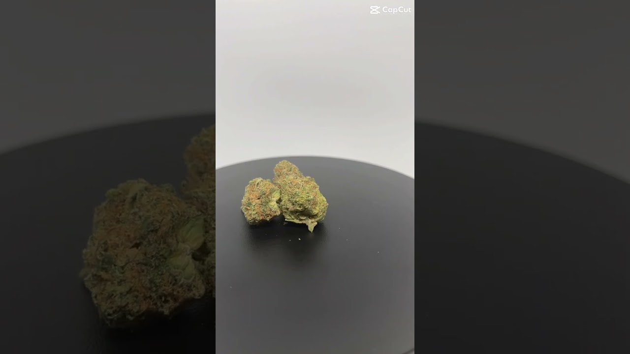 Black jelly by Pedanios 