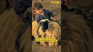 Çocuklarınıza Hayvan Sevgisi Aşılayın Ilık Şfet