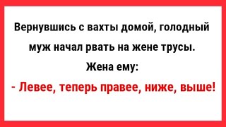 Вернувшись с вахты домой, муж начал рвать на жене трусы.