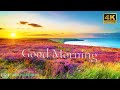 GOOD MORNING Meditation Music 😍 NEW Positive Energy - Wake Up & Feel Renewed - 4K Nature