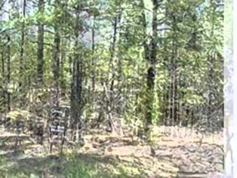 103 Alto Dr., Alto, NM home video tour